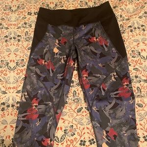 Patagonia crops